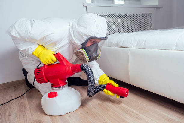 Best Pest Removal Services  in Biloxi, MS