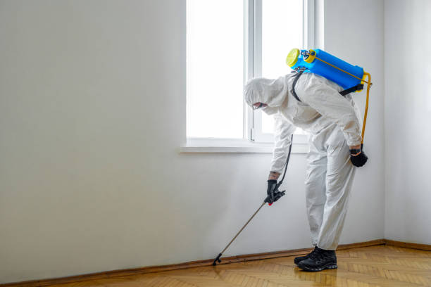 Best Best Pest Control Companies  in Biloxi, MS