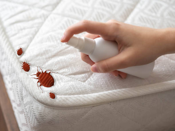 Best Cockroach Control Services  in Biloxi, MS